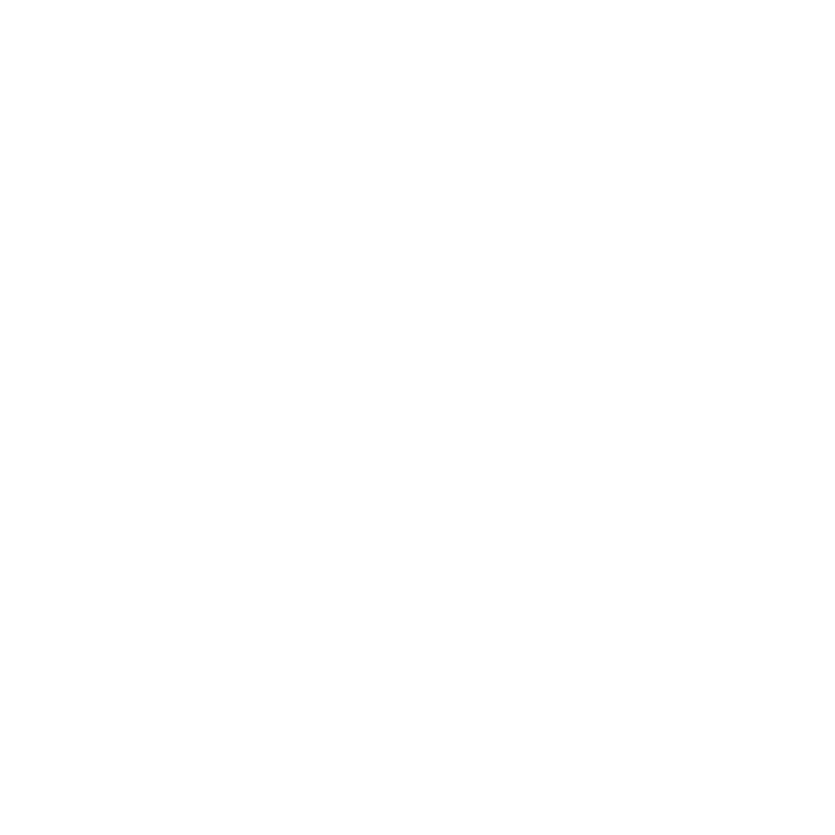 saraserpilli.com favicon